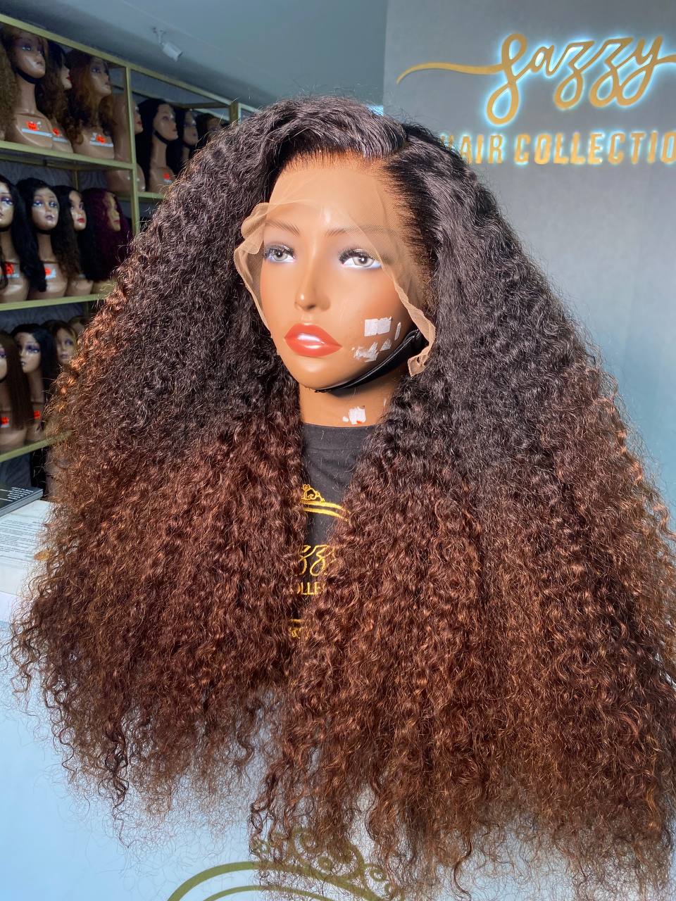 Full frontal Burmese curl